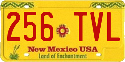 NM license plate 256TVL