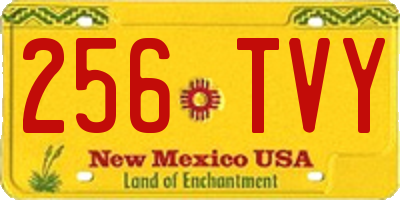 NM license plate 256TVY
