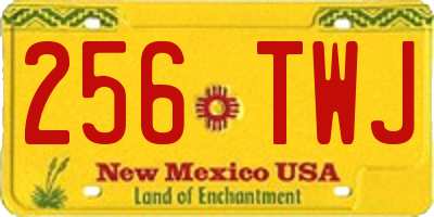 NM license plate 256TWJ