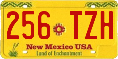 NM license plate 256TZH