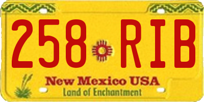 NM license plate 258RIB