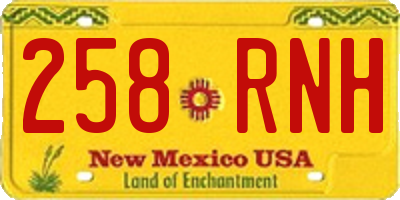 NM license plate 258RNH