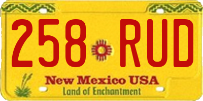 NM license plate 258RUD