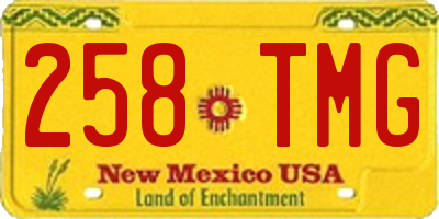 NM license plate 258TMG