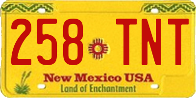 NM license plate 258TNT