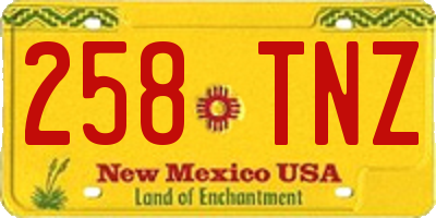 NM license plate 258TNZ