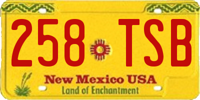 NM license plate 258TSB