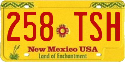 NM license plate 258TSH