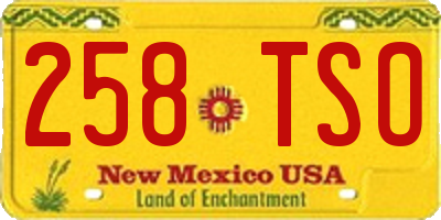 NM license plate 258TSO