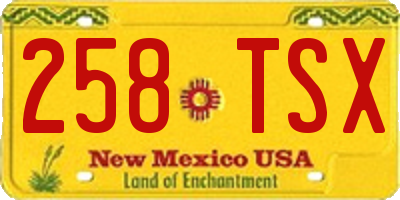 NM license plate 258TSX