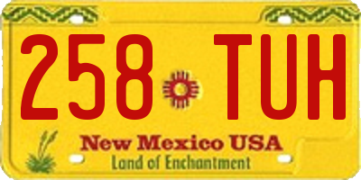 NM license plate 258TUH