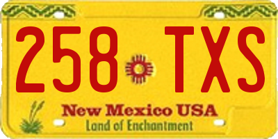NM license plate 258TXS