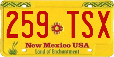 NM license plate 259TSX
