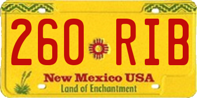 NM license plate 260RIB