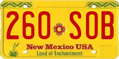 NM license plate 260SOB