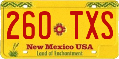 NM license plate 260TXS