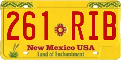NM license plate 261RIB