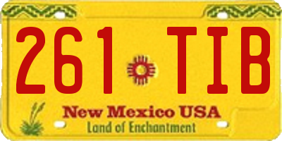 NM license plate 261TIB