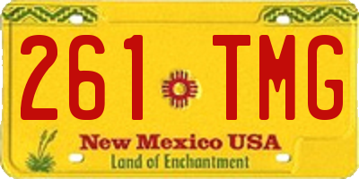 NM license plate 261TMG