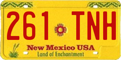 NM license plate 261TNH