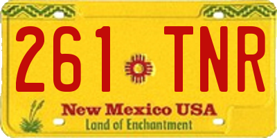 NM license plate 261TNR