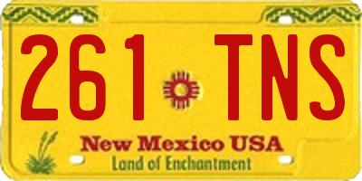 NM license plate 261TNS