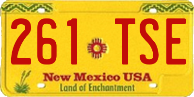 NM license plate 261TSE