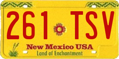 NM license plate 261TSV