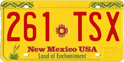 NM license plate 261TSX