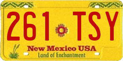 NM license plate 261TSY