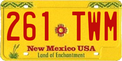 NM license plate 261TWM