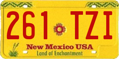 NM license plate 261TZI