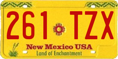 NM license plate 261TZX