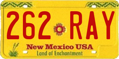NM license plate 262RAY