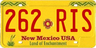 NM license plate 262RIS