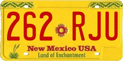 NM license plate 262RJU