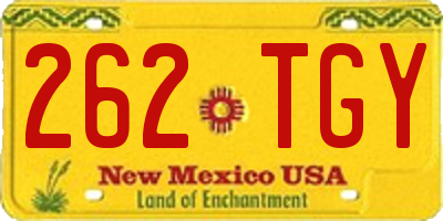 NM license plate 262TGY