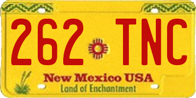 NM license plate 262TNC