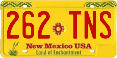 NM license plate 262TNS