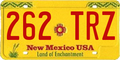 NM license plate 262TRZ