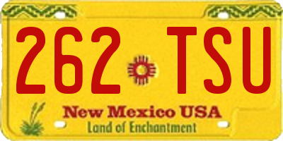 NM license plate 262TSU