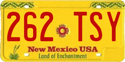 NM license plate 262TSY