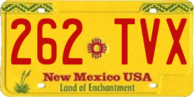NM license plate 262TVX
