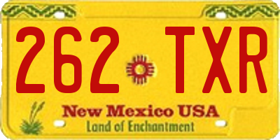 NM license plate 262TXR
