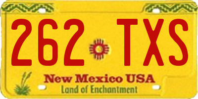 NM license plate 262TXS
