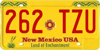 NM license plate 262TZU