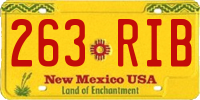 NM license plate 263RIB