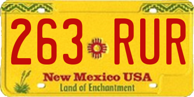 NM license plate 263RUR