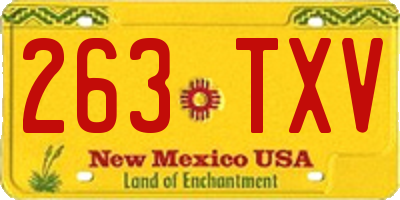 NM license plate 263TXV