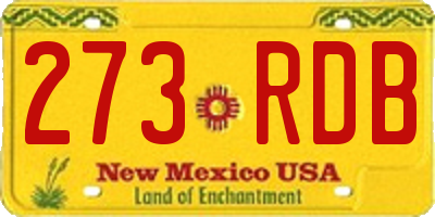 NM license plate 273RDB